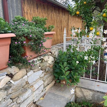 피에트라산타 Antica Casa Nel Borgo 아파트 외부 사진